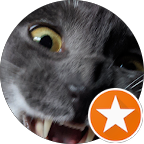 image google